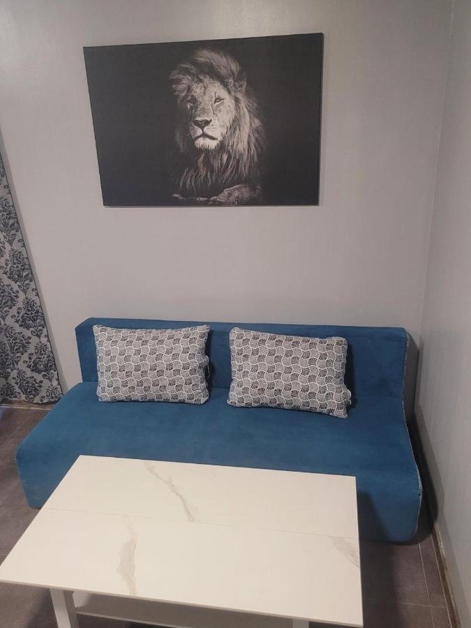 Maxi Homes Sofia